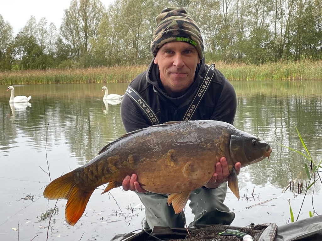 CarpCafe tweet media