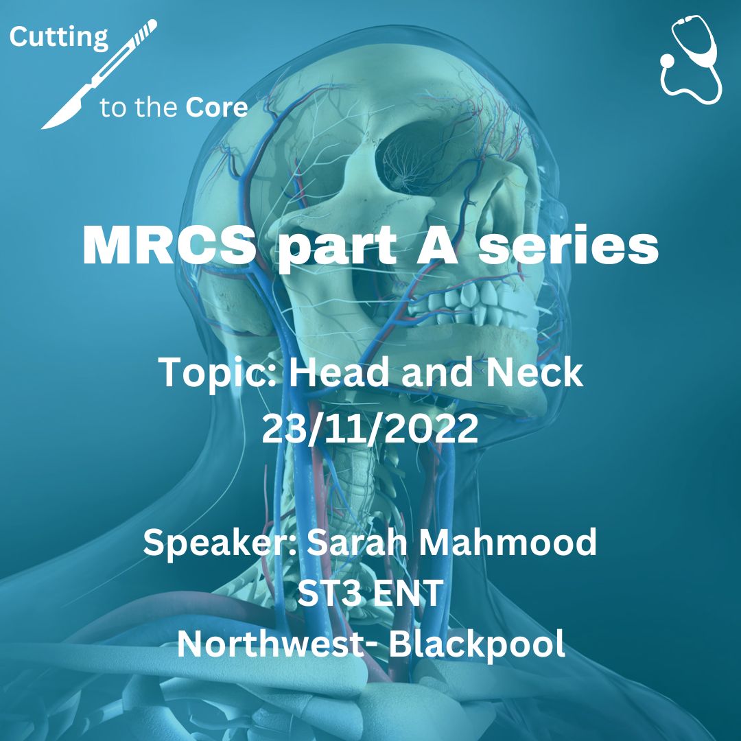 Cutting to the Core tweet media