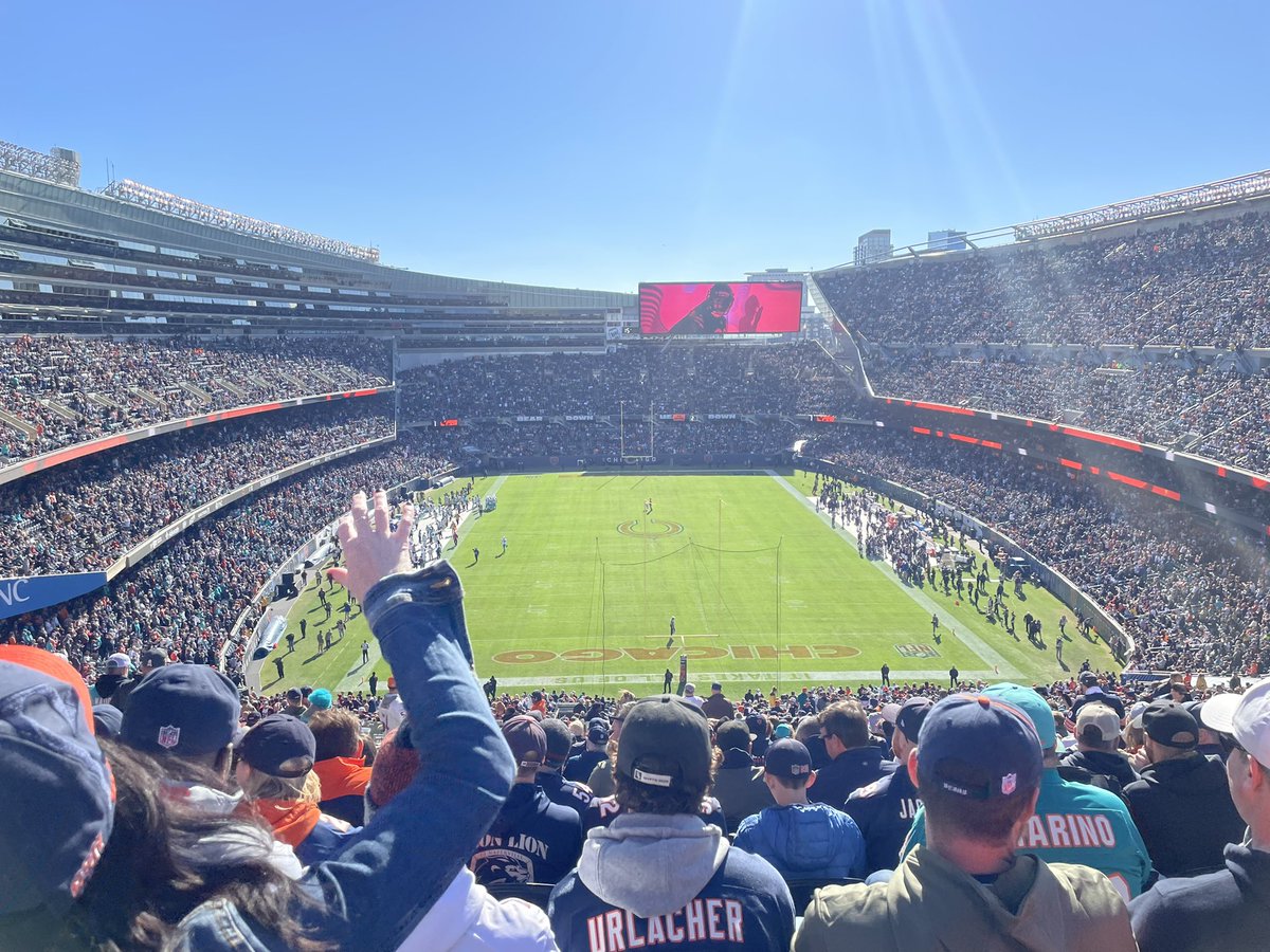 AlleviZ's tweet photo. Back to back weeks! @NFLAustralia #BearDown https://t.co/usx2xnQgOP