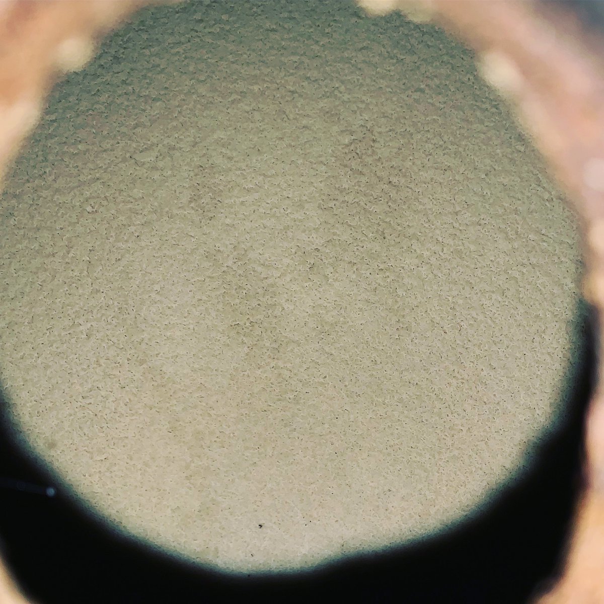 Soy más de disfrutar en vivo que a través de una pantalla, pero de vez en cuando me gusta mostraros las preciosidades que me encuentro por la bodega.
Quinta criadera de Maruja, bajan las temperaturas y “renace” este tupido velo.