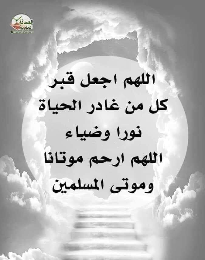 حكايه وحدوته tweet media