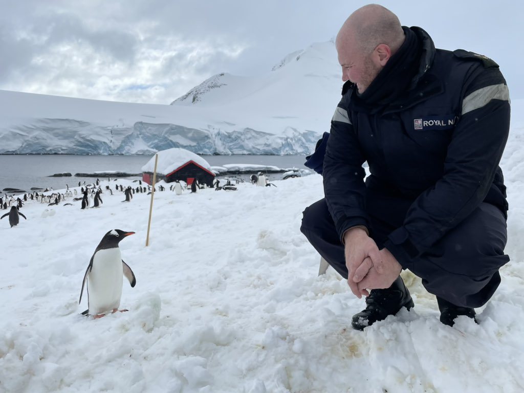 LS(AWW) Bell was an object of curiosity for this brave little Penguin who approached him as he took a break from shovelling snow to help out our friends @AntarcticHT at Port Lockroy