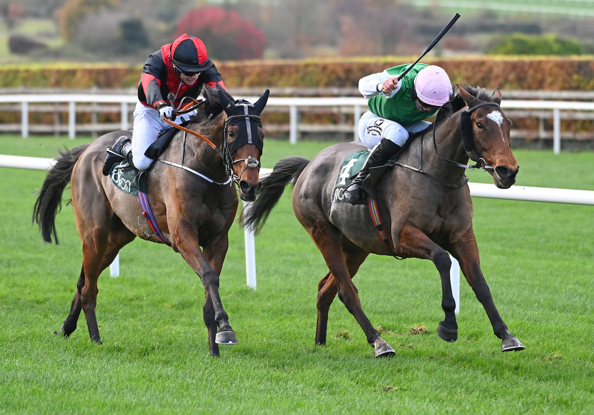 Dollys Destination ⁦@oranmcgill⁩ winner of todays H’cap hurdle to give Oran a winner up against the pros ⁦@NavanRacecourse⁩ 💪 ⁦@equuipHRI⁩ 📸 healyracing.ie