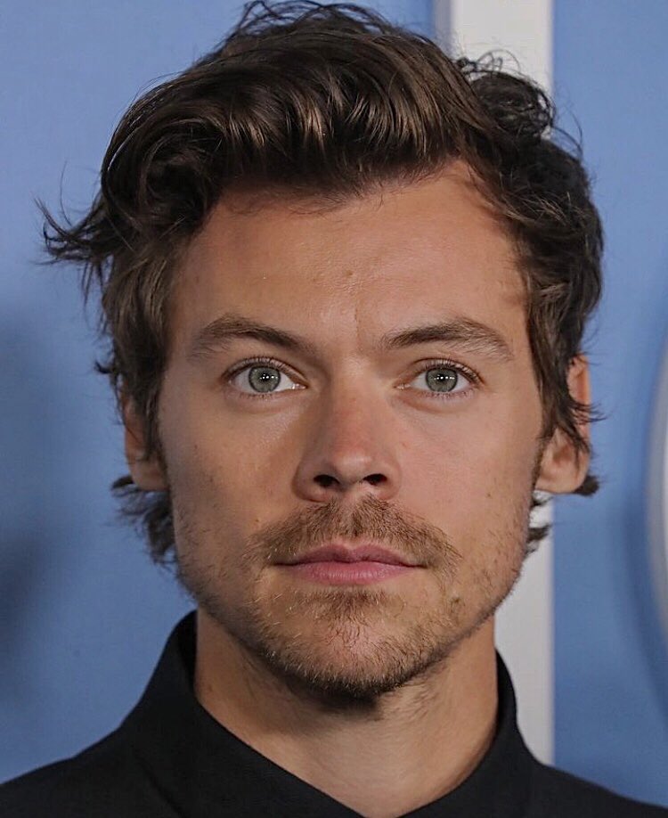 ElisaAl20759307's tweet photo. Perché sei un essere speciale!💚  #HarryStyles #AMAs #AMAsFanFavorite https://t.co/nZe51P5VIu