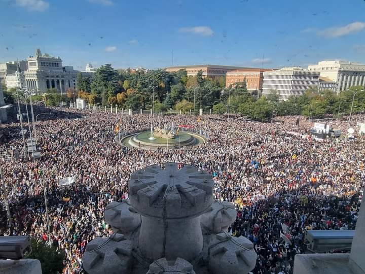 ViviendaUsera's tweet photo. Luego dirán que fuimos cinco o seis. @ldiazAyuso @almeidapp #SanidadPublica #MadridSeLevantaEl13N https://t.co/UdPMtfz0FY