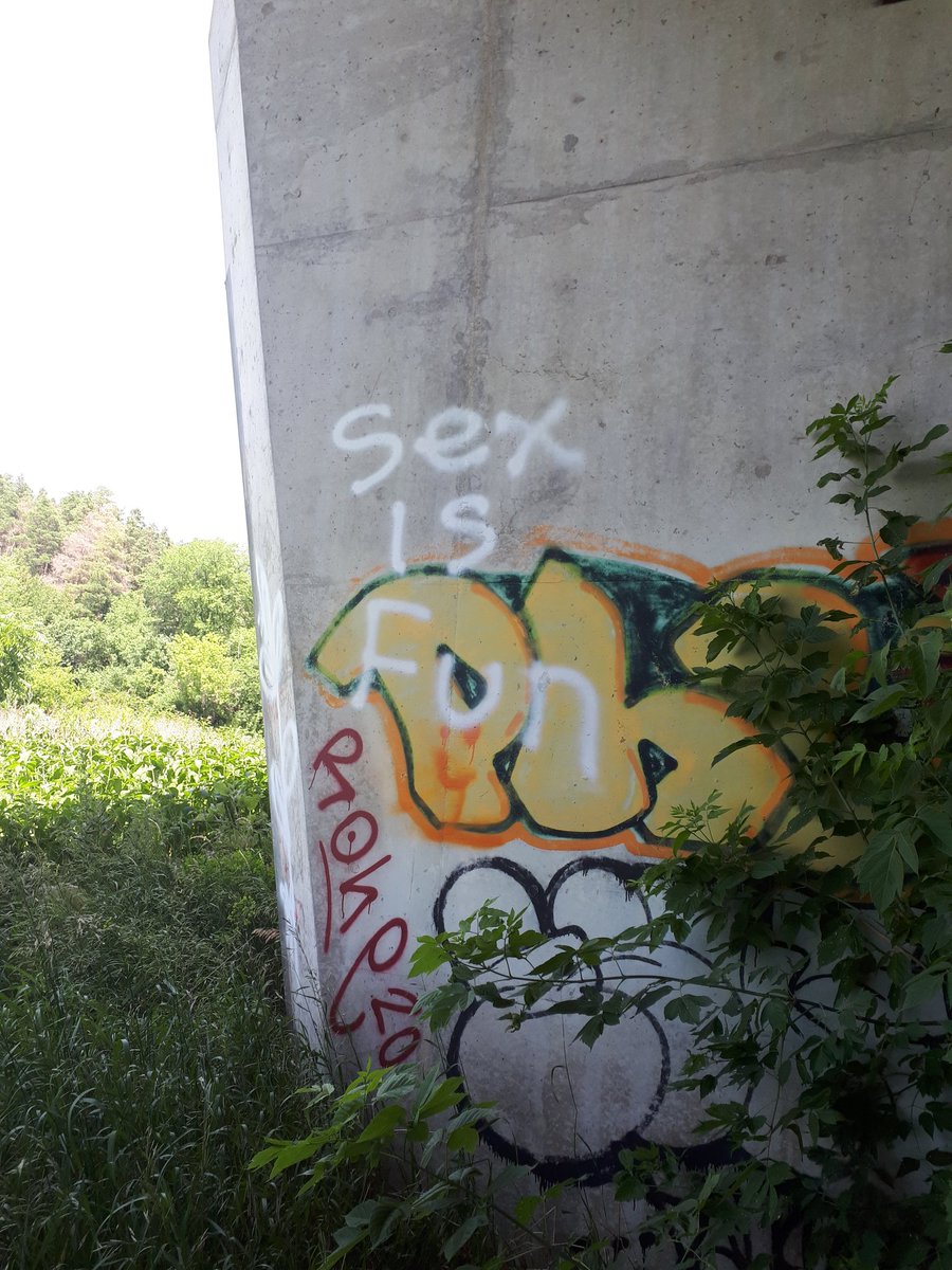 Sex
Is 
Fun
#graffiti #art spotted in #Kitchener