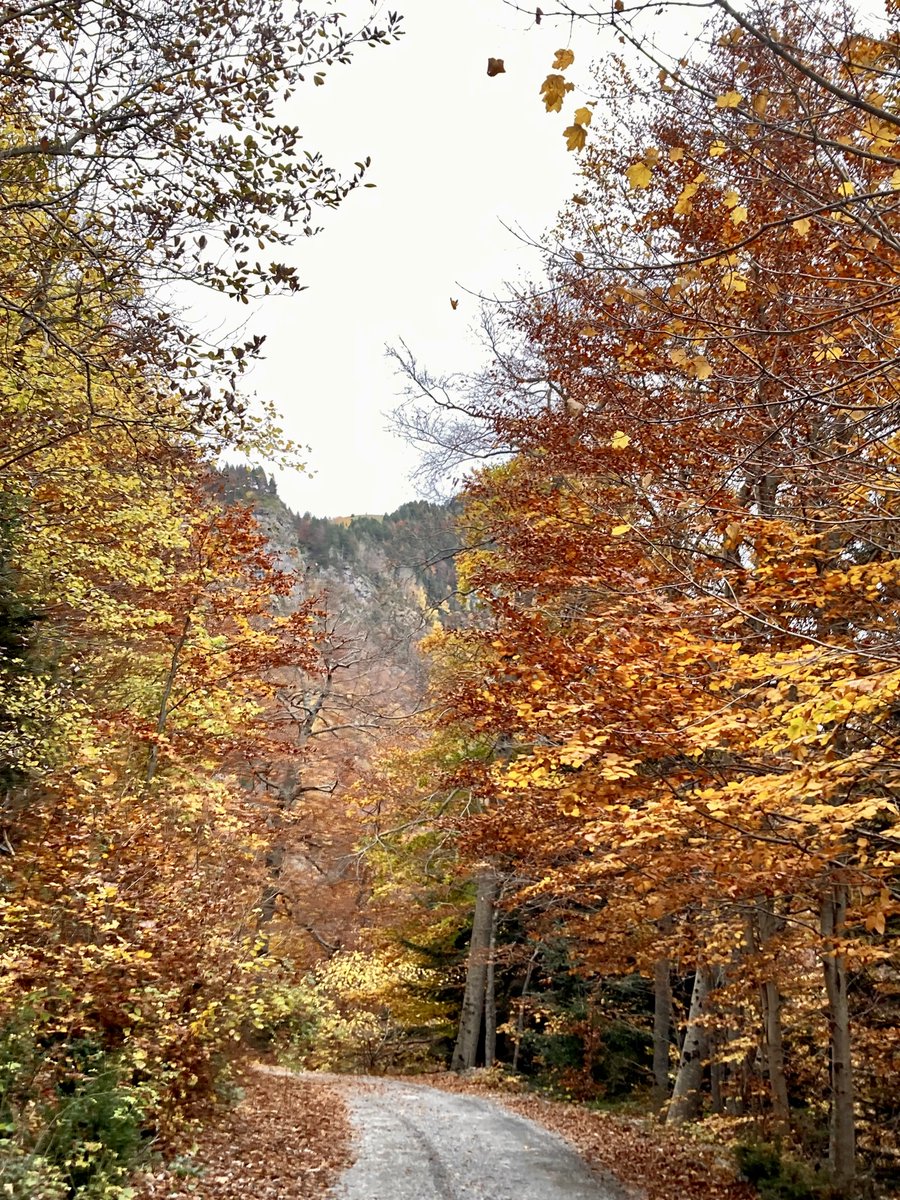 envictormolas's tweet photo. Us comparteixo la ruta+àlbum d fotos de la circular Bujaruelo-Otal-Ordiso-Bujaruleo. Preciosa excursió de tardor 👉https://t.co/uHWiGS89Y3 Espero que us agradi! @ordesa_com @Huesca_LaMagia @RutesPirineus @pirineosaragon @editorialalpina @CEC_cat #Bujaruelo #Otal #Ordiso #Tardor https://t.co/nYJrXOMRIC