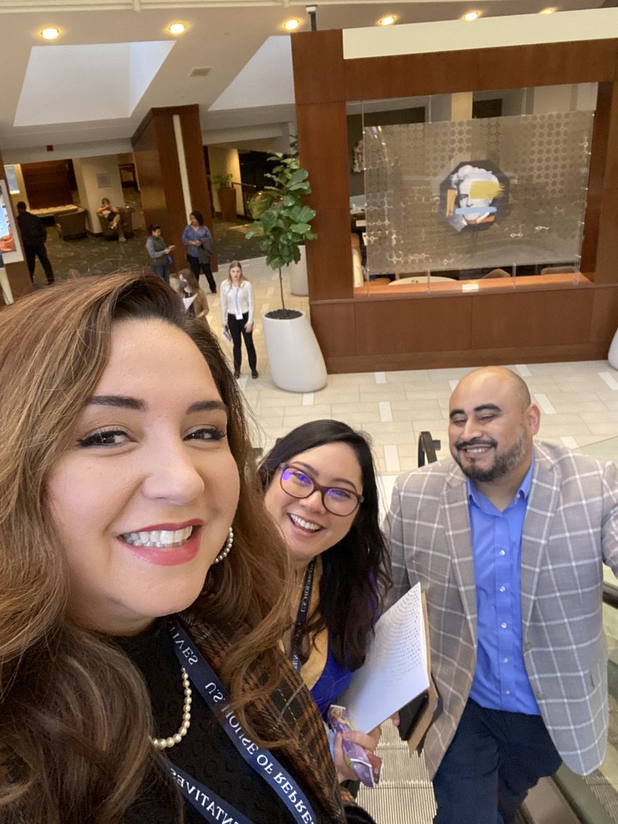 Delia Ramirez tweet media