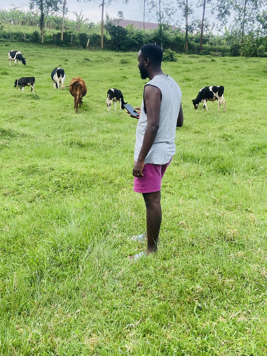 Stema Farms tweet media