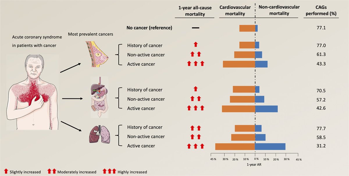 AmericanHeartJ tweet media