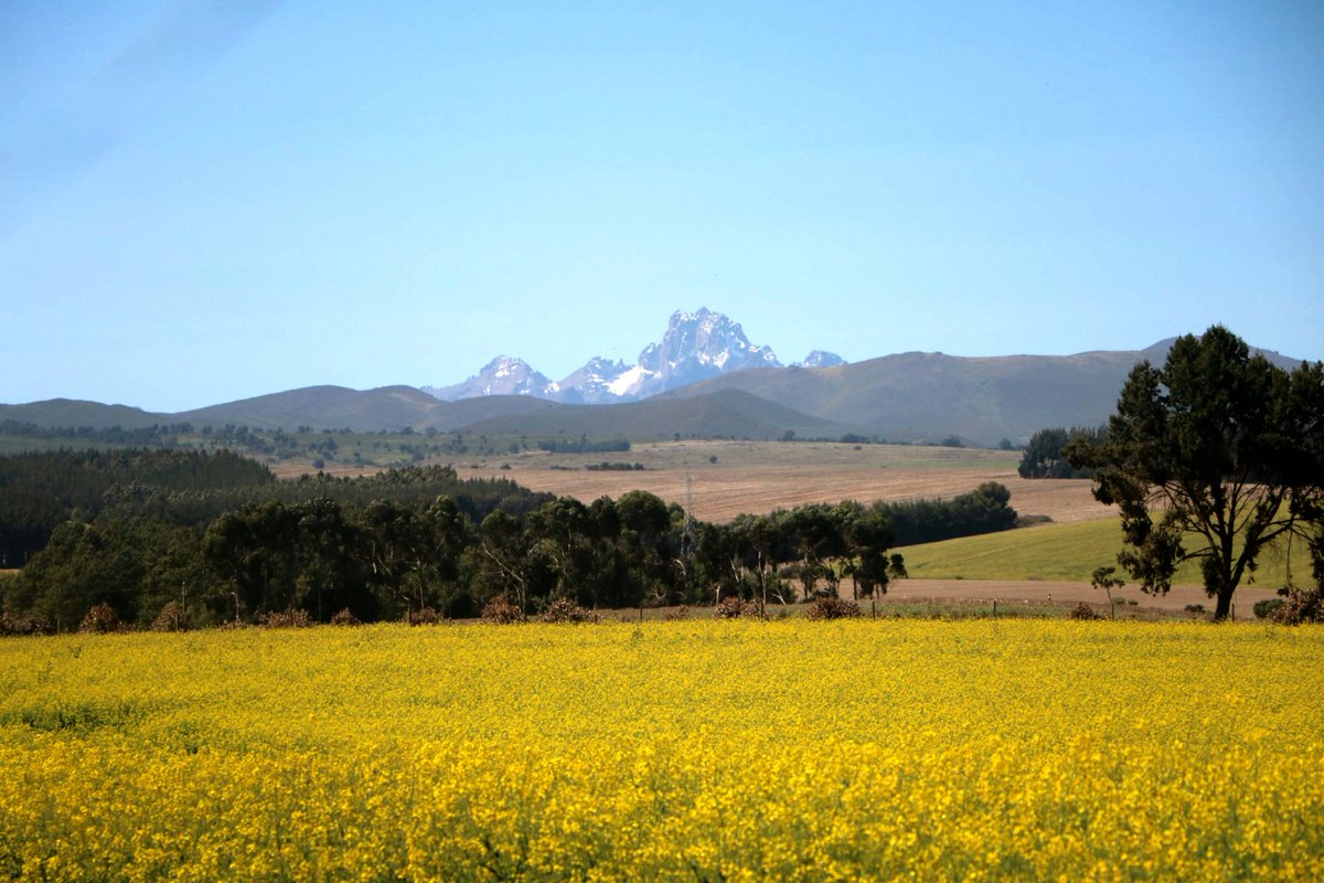 Have a great week a head, from <a href="/MysticalMeru/">Mystical Meru</a> to the world.