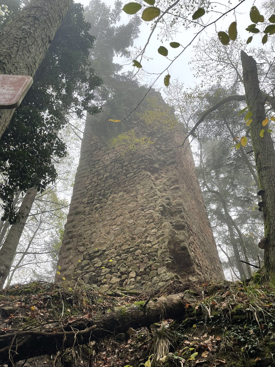 EricHebting's tweet photo. Petit tour autour de Riquewihr, découverte du château 🏰 du Reichenstein, et balade dans les vignes.
#Riquewihr #Reichenstein #HautRhin #Alsace #Randonnée #BaladeSympa #EnFranceAussi #Vignoble https://t.co/XjrUZUhsvI