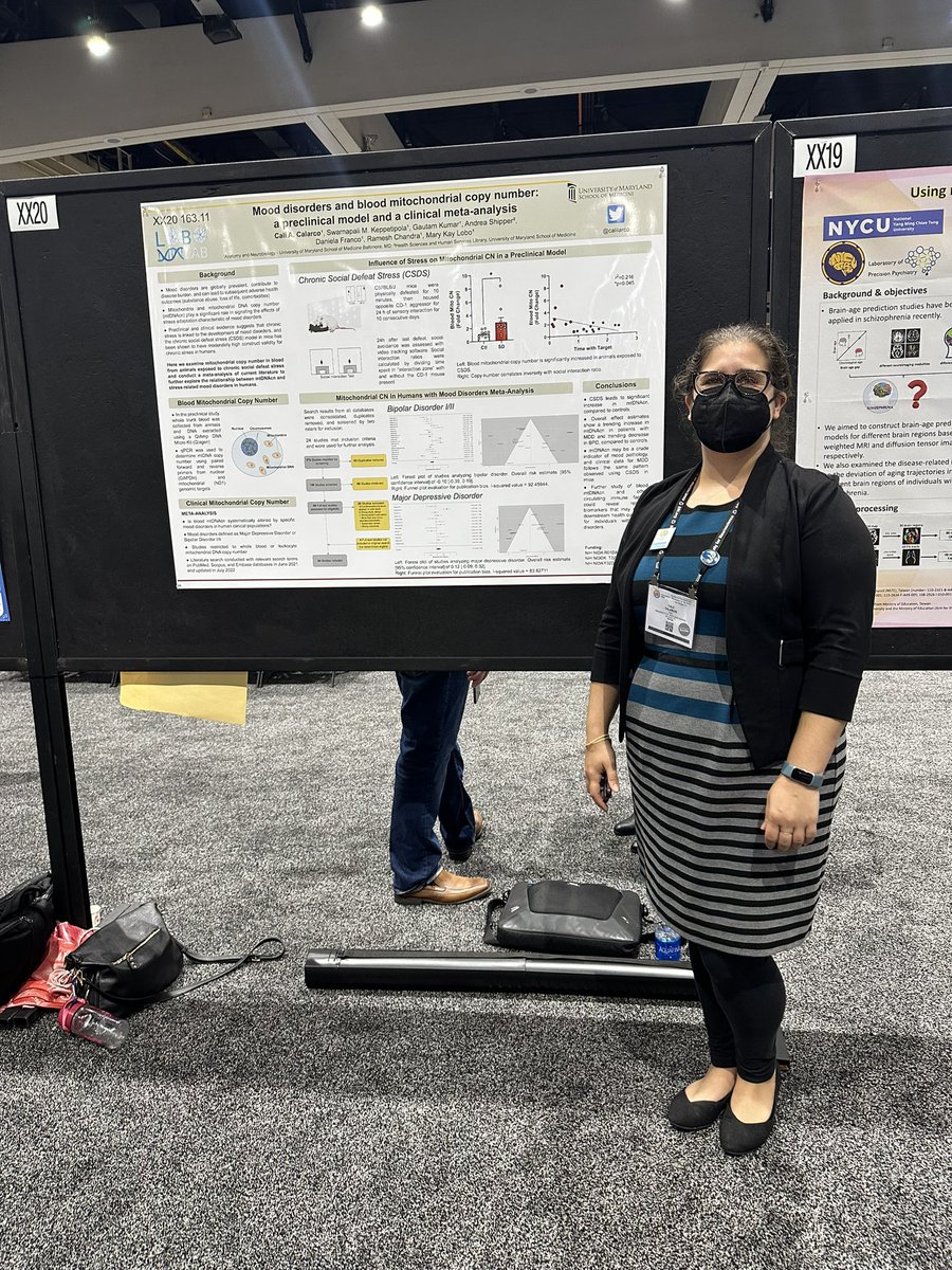 marykaylobo's tweet photo. So exciting to see lab members presenting in person. Most lab members I am seeing in action IRL for the 1st time. If you want to hear about molecular mechanisms, microglia, and mitochondrial biomarkers in stress then stop by G Kumar II11, @DanielallFranco II8, &amp; @calilarco XX20. https://t.co/qn6W8RPhLs