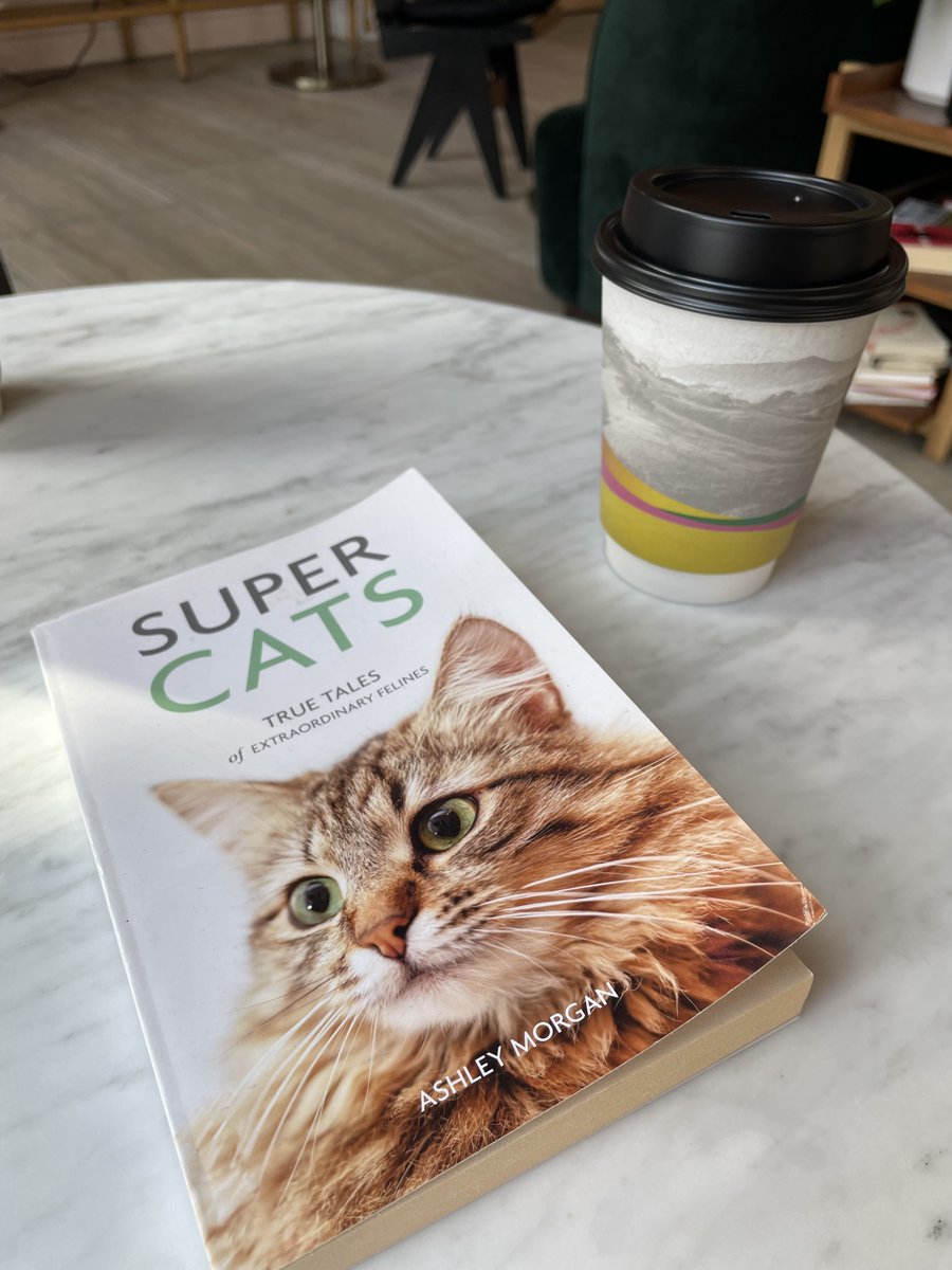 Clint Martin tweet media