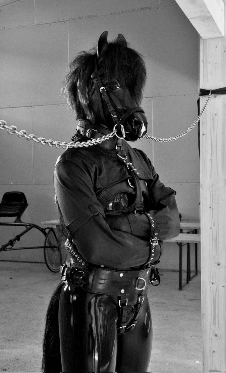 NightySwifthoof's tweet photo. The traditional cross tie is a good way to limit a horse's movement ... Same goes for the straitjacket. The more secure, the better :) picture by @GordonSFawks #ponyplay #petplay #ponyboy #latex #straitjacket https://t.co/HaLOixHGRr