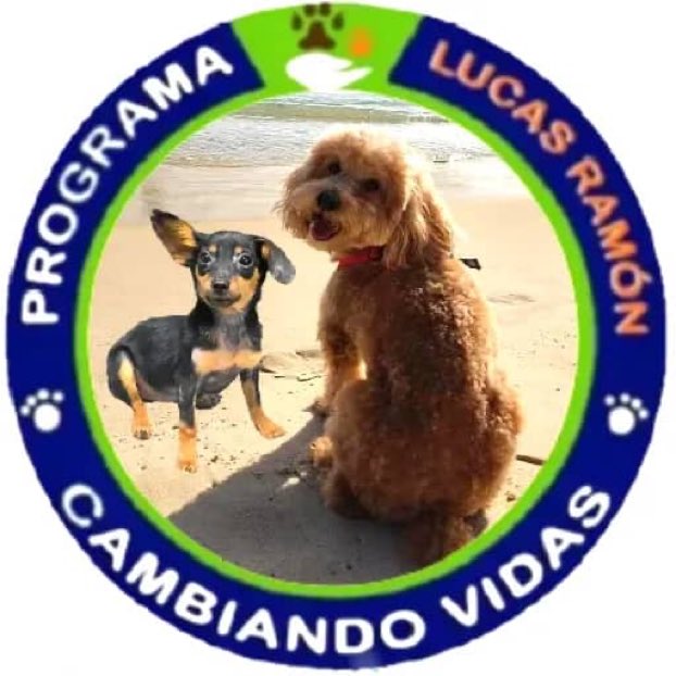 NataliaSR75's tweet photo. Quedó hermoso el nuevo logo! LUCY RAMONA merece estar en él 😊 que siga vivo su mensaje y su misión 🙏🏻 @FRAENKELE https://t.co/YNmhnYD2oz