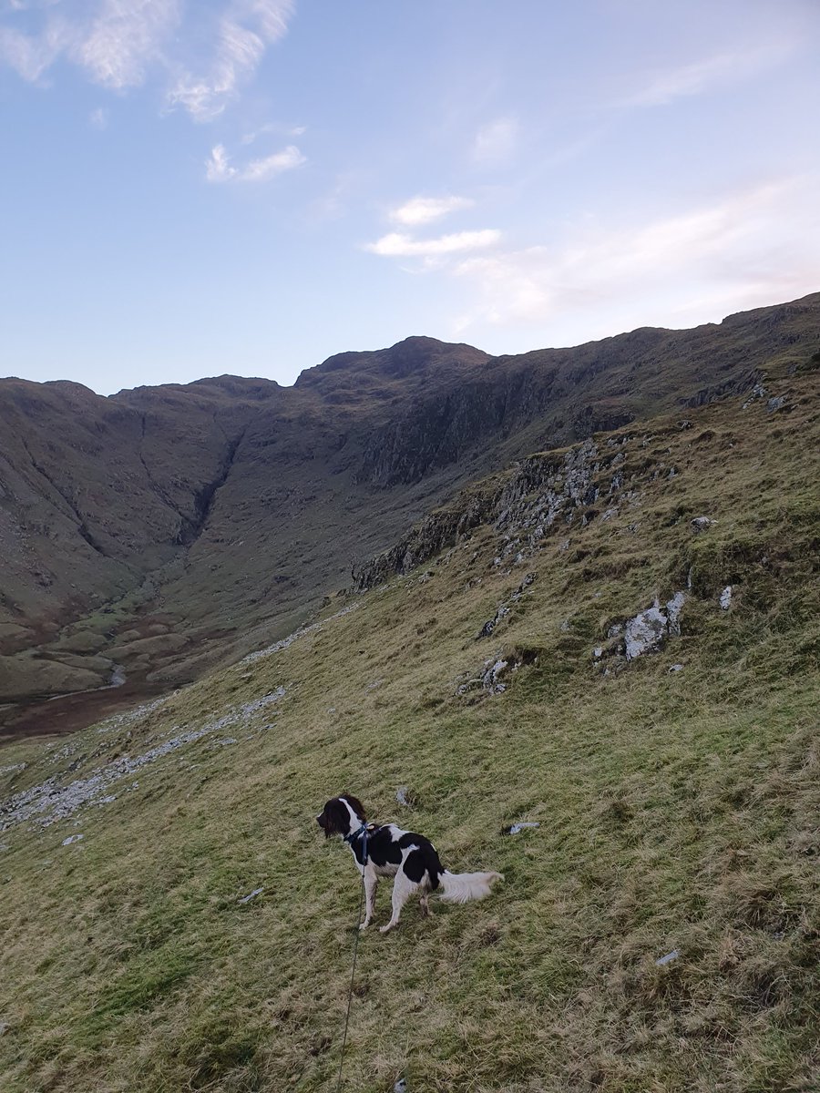 garrypickles's tweet photo. 2 more Wainwright summits on my challenge #Glaramara #Rosthwaitefell. This was a really tough day 16.5km (10.3 miles) & 2700ft ascent. A lot of ups & downs the route up #Bessyboot didn't take the path ended going up some steep slabs. Rock climbing dangerous really. 173 of 214 https://t.co/NEOTgGYJ0f