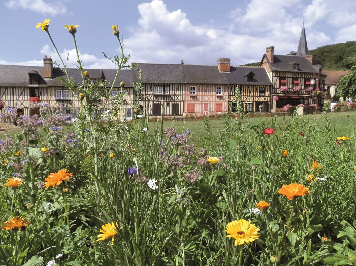 ThereseBaillard's tweet photo. Entre #Rouen et #Lisieux, dans un paysage verdoyant de bocages et de pommiers, le #BecHellouin est un village typique de #Normandie aux maisons à pans de bois et aux jardins fleuris. Il est construit autour de plusieurs rangées de maisons à colombages de différentes couleurs. https://t.co/vkhUBtRHZ1