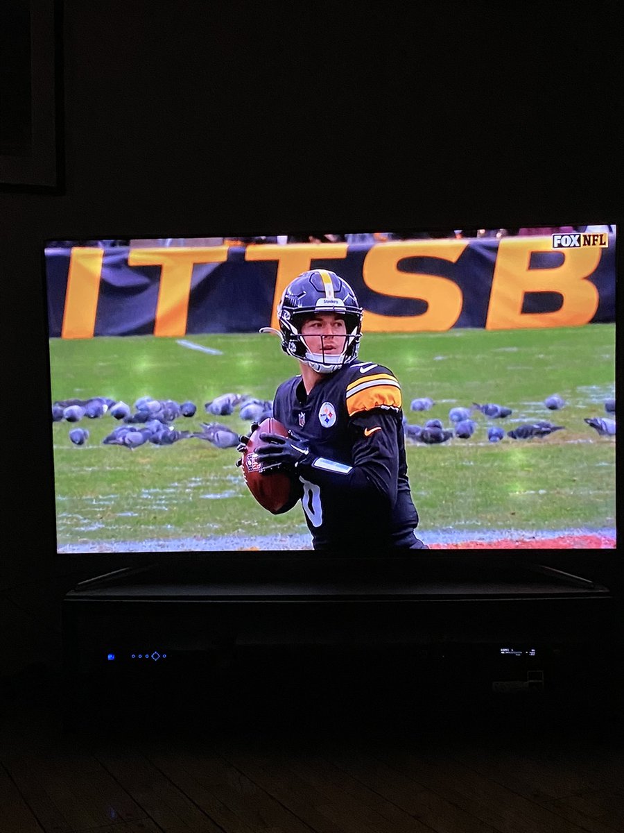 EarlSkakel's tweet photo. Uh oh the pigeons are back!
#SteelersNation #PITvsNO https://t.co/trXpnQvFxk