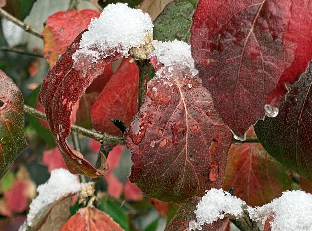 Rob Beintema tweet media