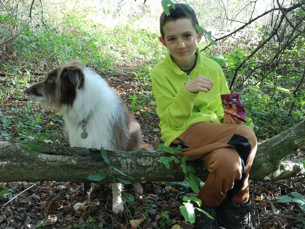 CazAdams3's tweet photo. Day 5 of Jack walking the #ThreeChoirsWay - from Stoke Lacy to Knightwick, Worcs; 8.5 miles; 25,000 steps. He's raised £3000 for @worldlandtrust from 4 activities @SteveBackshall #OperationOcelot @LeeDingain @REGUABrasil @BBCGlos @GlosCCGreens @BBC @ITV
https://t.co/uBW4HeaaVy https://t.co/MkgGgUvZOB