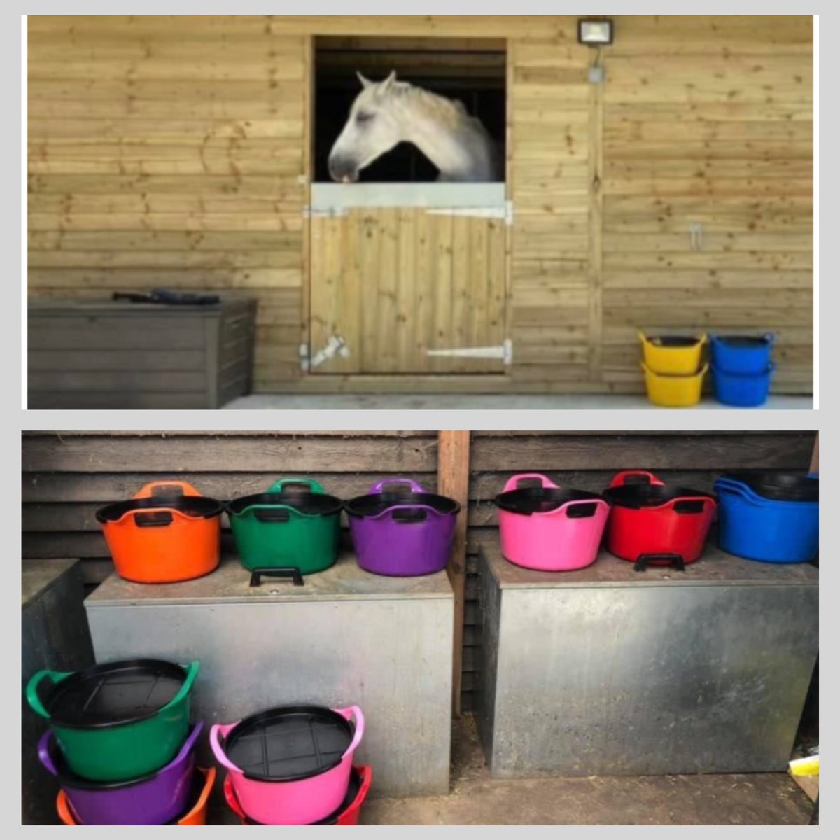 EquineTpj's tweet photo. The best feed buckets 

https://t.co/mVdYc8tMpE 

#horse #horsefeed #equestrian #farming #yard #stable #horses #pony https://t.co/bAaThJuT8L