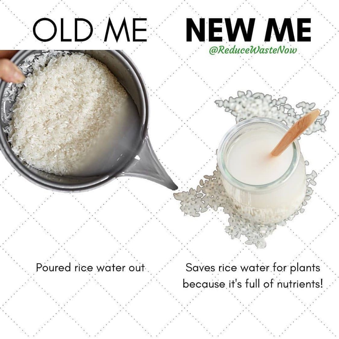 ecofriendlyfact's tweet photo. New me vs Old Me 💚
#nowasteliving #goingzerowaste #zerowastelife #wastefree #ditchplastic #zerowasteliving #zerowastehome #lessplastic #lifewithoutplastic #zerowastejourney #lowwasteliving https://t.co/CauJGcpwyX