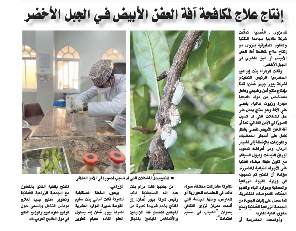سليمان أولادثاني (@suleman_mc) on Twitter photo نؤمن دائما بأن شبابنا قادر على تحقيق الإنجاز متى ما صخر وسهل لهم ذلك 🤝 شركة طلابية تنتج علاج لمكافحة آفة العفن الأبيض والذي يصيب غالبا اشجار الجبل الاخضر #الجبل_الأخضر نؤمن دائما بأن شبابنا قادر على تحقيق الإنجاز متى ما صخر وسهل لهم ذلك 🤝 شركة طلابية تنتج علاج لمكافحة آفة العفن الأبيض والذي يصيب غالبا اشجار الجبل الاخضر #الجبل_الأخضر