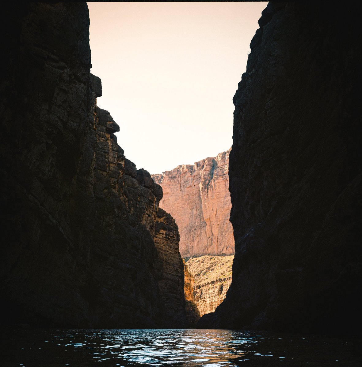 Katia Krupa tweet media