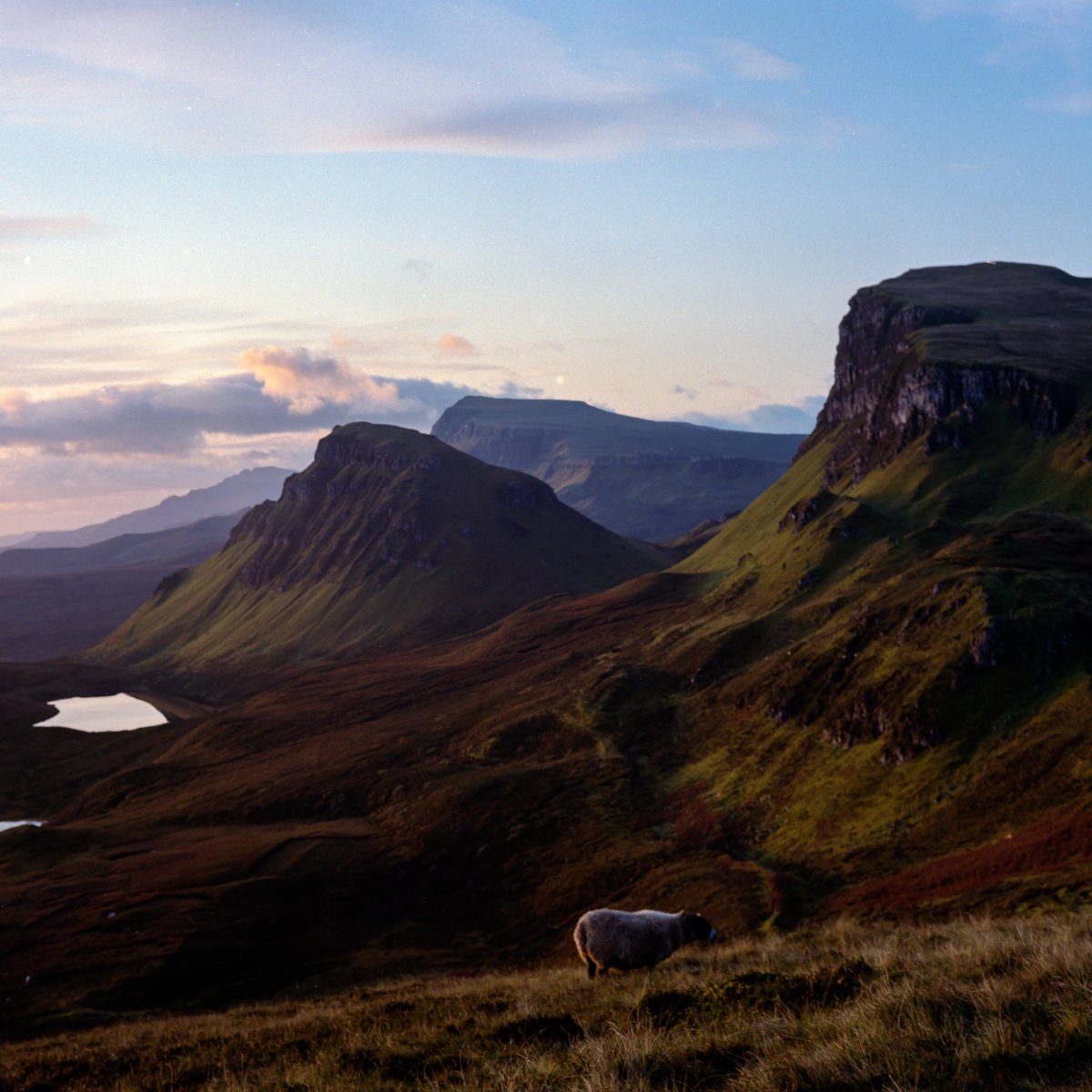 Katia Krupa tweet media