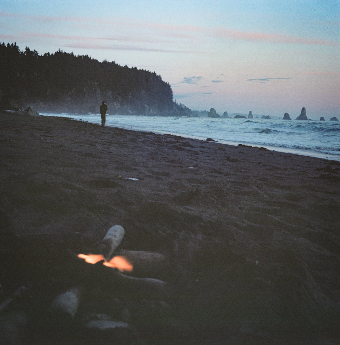 Katia Krupa tweet media