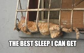 GarretFry2's tweet photo. If your feeling like this👇 in yoir current bed, it's time to come see us at MattressDirect. 
https://t.co/ZjN1ZUpqHf
https://t.co/cGMieEqitG
Financing👍⏫️#sleep #BlackFridayDeals22 #Beautyrest #Beautyrestblack #Serta #lowestprice #shoplocal https://t.co/SBqh7DiUjU
