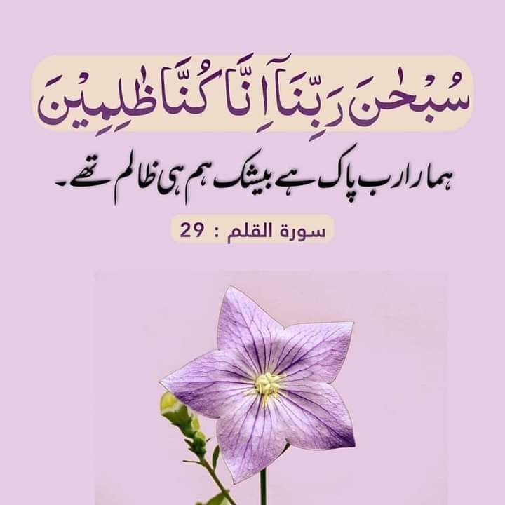 🌺السلام علیکم صبح بخیر 🌺

#قومی_زبان