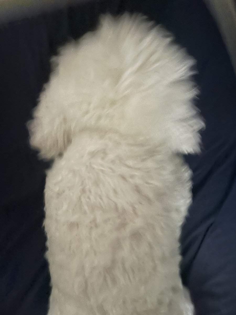 GM 머털도사