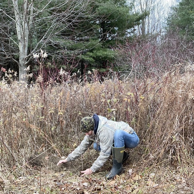 I know I&rsquo;m just supposed to be a slut here, but you guys gotta help save the environment by planting