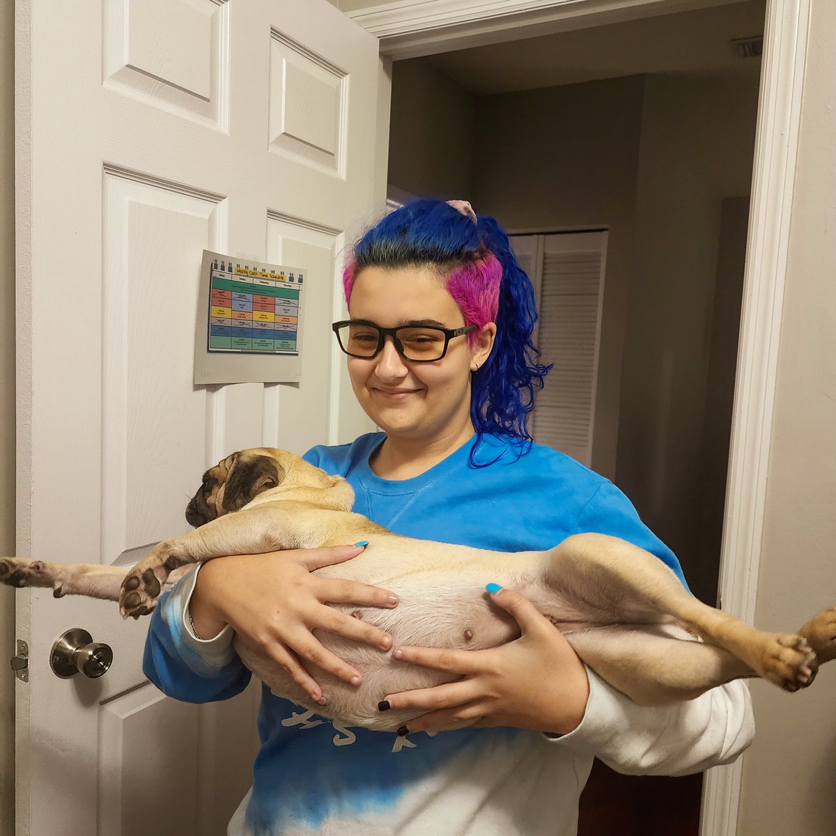 she is supposed to be my support dog 🤔🤔 #pug #pugs #puglife #supportdogs #ADHD #adhd