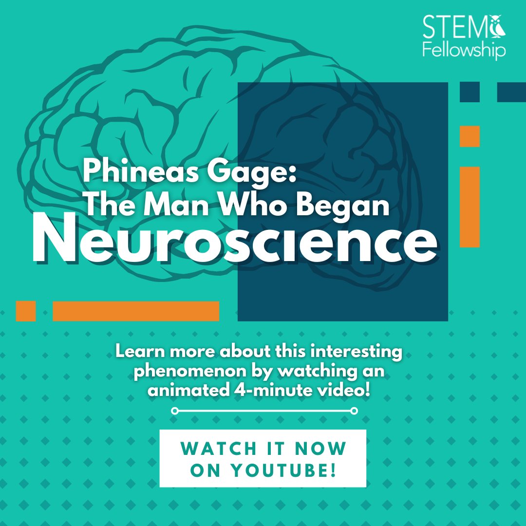 STEM Fellowship (@stem_fellowship) on Twitter photo 