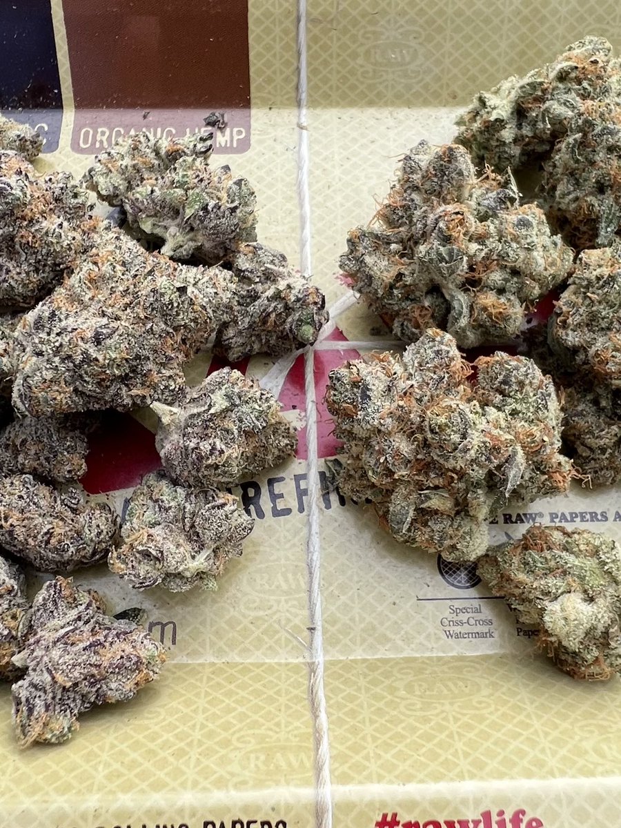 Platinum grapes <a href="/organnicraft/">Organnicraft</a> vs. Waffle bites (cake) <a href="/Habitat_LifeCA/">Habitat Life</a> <a href="/ONCannabisStore/">Ontario Cannabis Store</a>