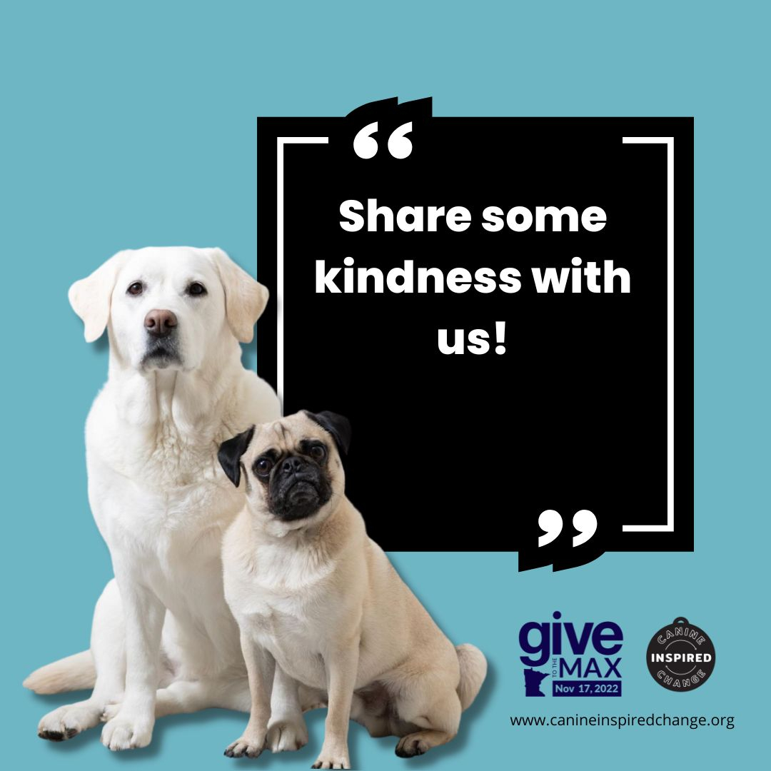 Hey you....yes YOU! Know what? #YOUMATTER 🧡 
This is how we open &amp; close every single CIC session and even the coolest teens join in when dogs are involved 😉
So share some kindness today by dropping a friends name in our comments with #YOUMATTER and let that warm smushy dog