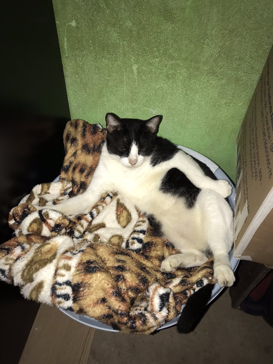 É normal sentir sono?, ainda mais na prova do enem?