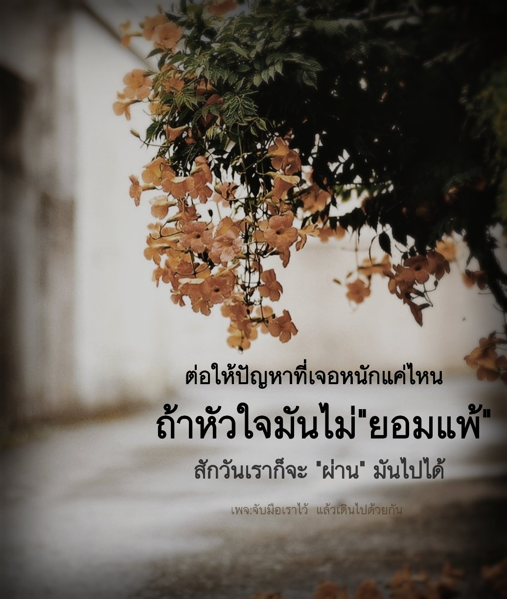 จับมือเราไว้ แล้วเดินไปด้วยกัน on Twitter: จับมือเราไว้ แล้วเดินไปด้วยกัน On Twitter: