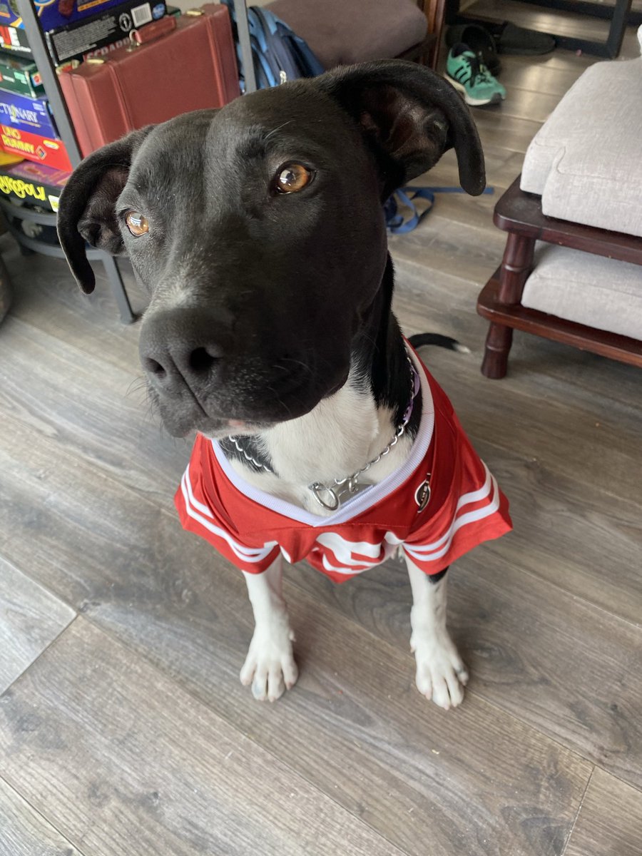 Mr_Qsin's tweet photo. @mayralgomez @49ers @49ersMonterrey @49ersMexico1 @Club49ersMexico @49ers_es @espnsutcliffe @jesuszarate87 En definitiva soy yo https://t.co/MdJDPz67OP