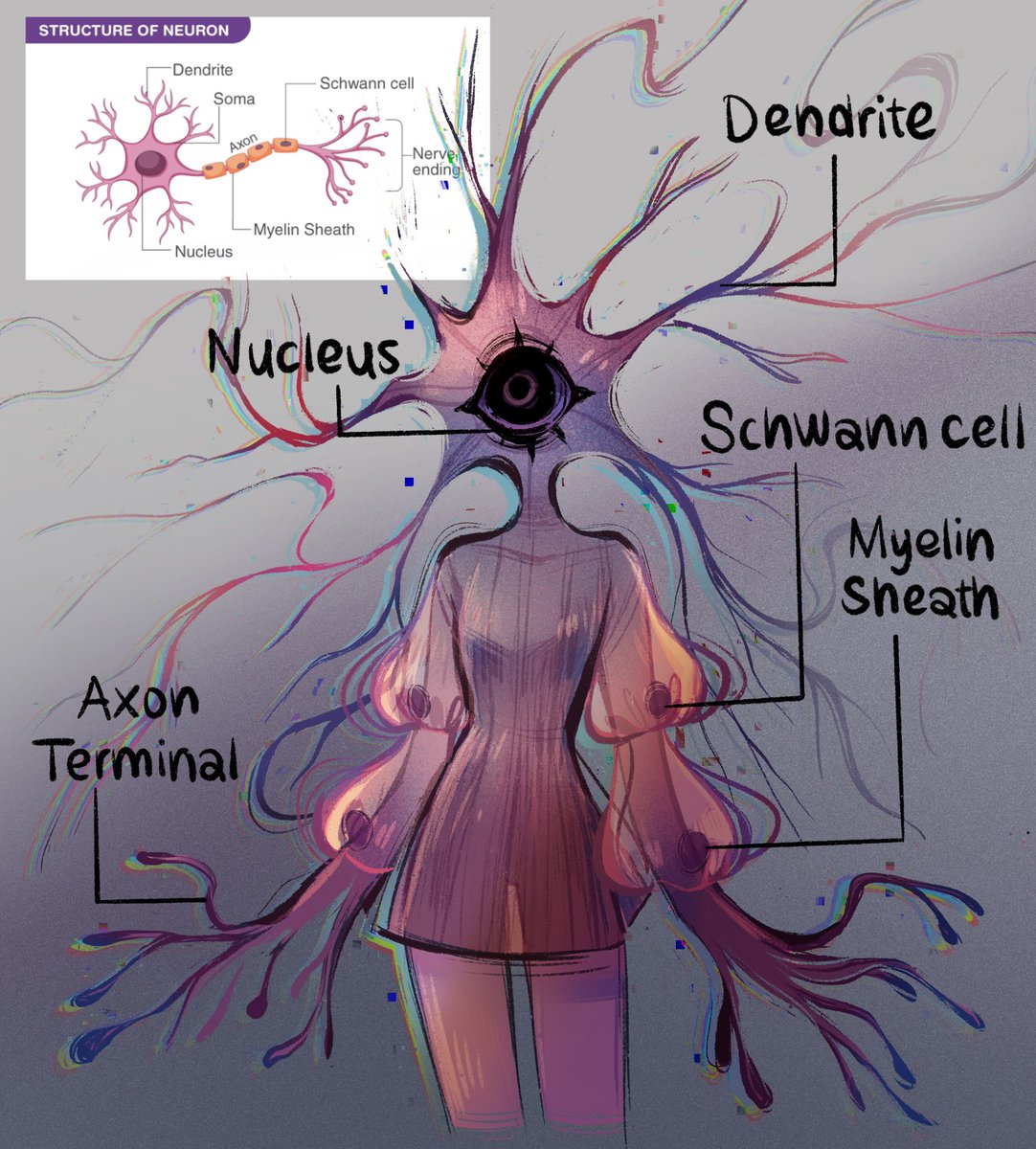 Neuron infographic but cute🧠