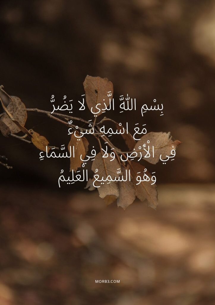هـلال الـقـثامـي𓃬 tweet media
