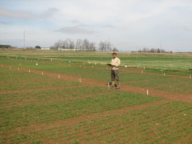 TBararpour's tweet photo. Herbicide evaluation in wheat for Italian Ryegrass Control https://t.co/ZjAN3TpCJm