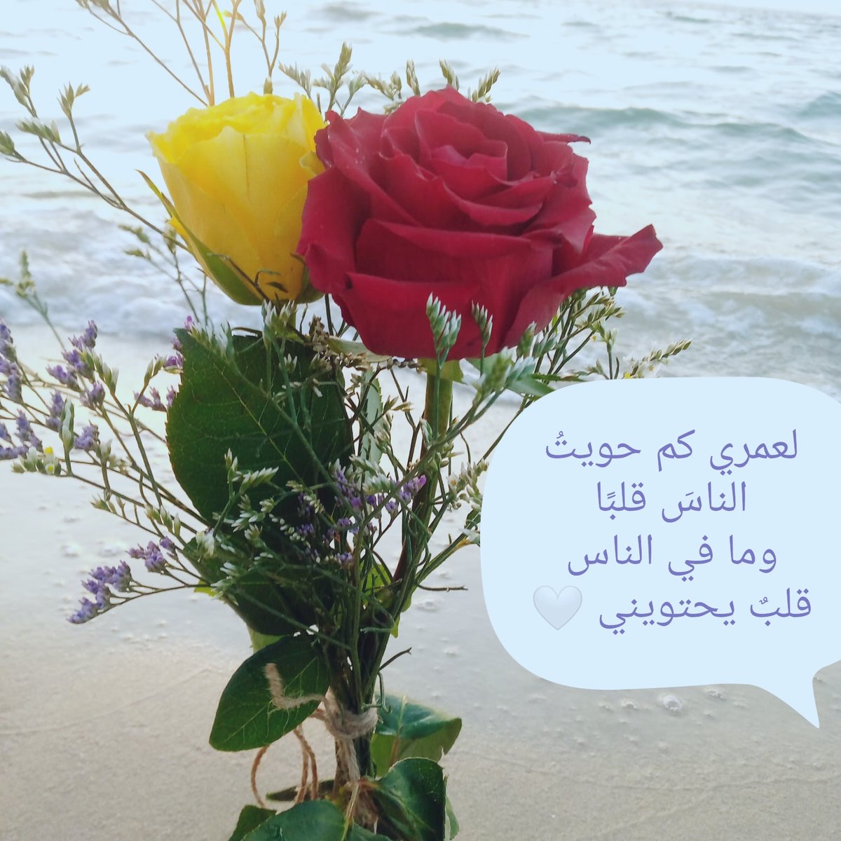 لعمري كم حويتُ الناسَ قلبًا
وما في الناس قلبٌ يحتويني 🤍