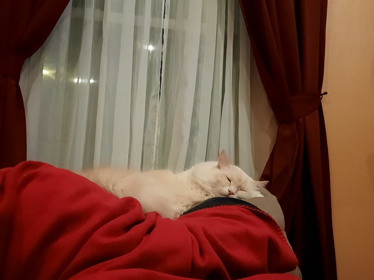 Fuzzicle's tweet image. Melty face 💜