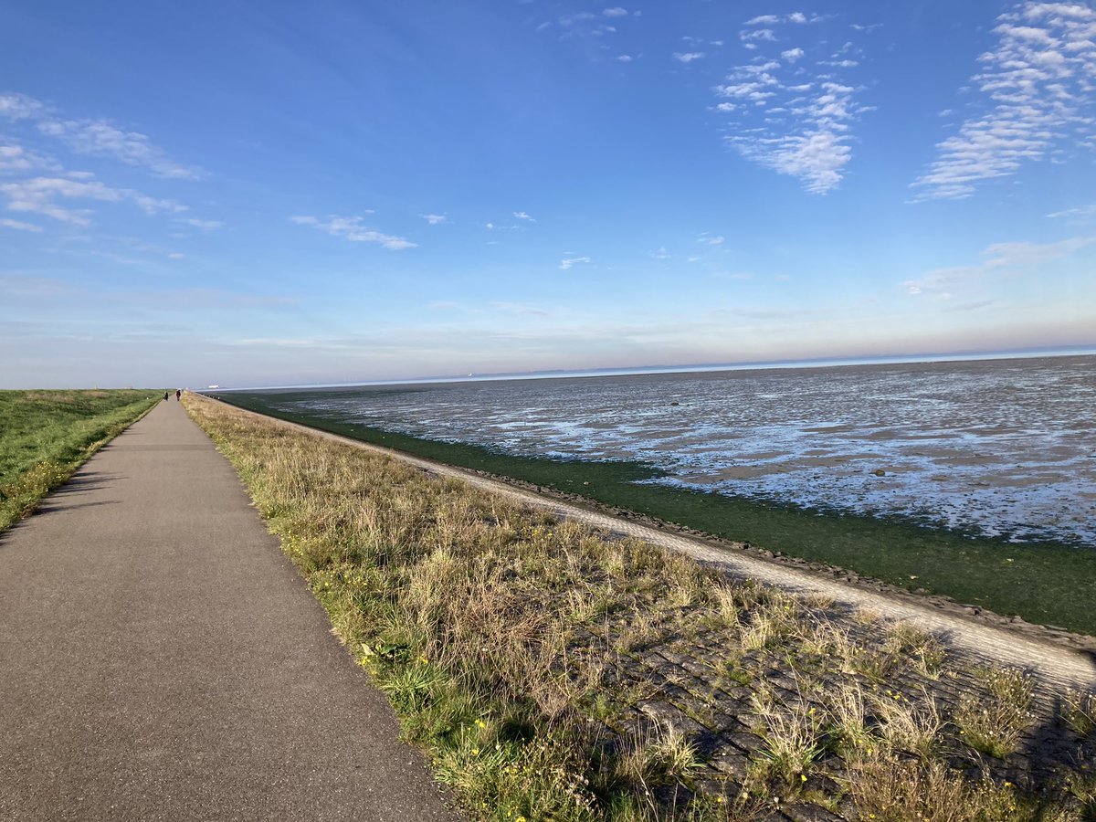 MarcelTazelaar's tweet photo. Het prachtige weer goed benut om weer wat km te fietsen. #kruiningen #krabbendijke #oosterschelde #yerseke #postbrug https://t.co/OR5qPOXOOM
