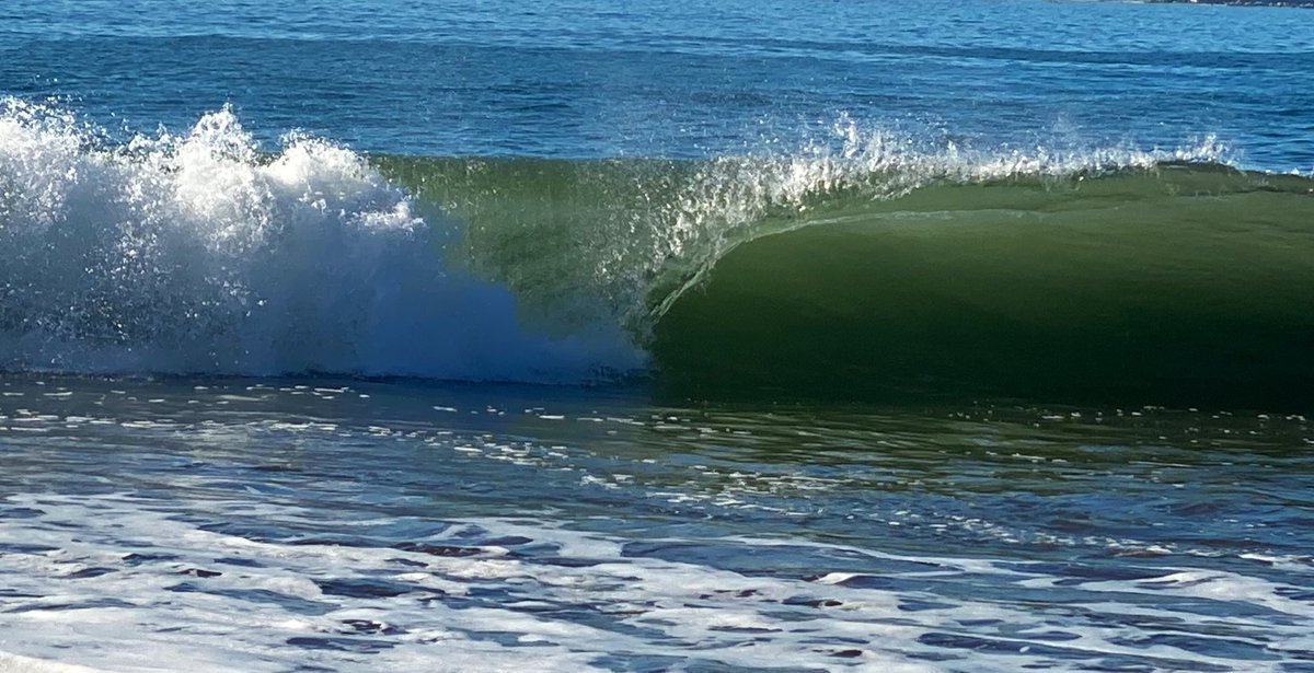 𝓥𝓲𝓻 📸 tweet media