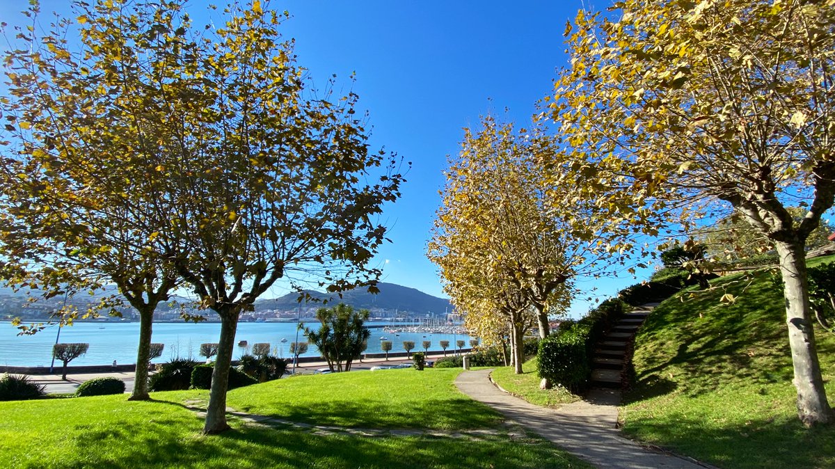 𝓥𝓲𝓻 📸 tweet media